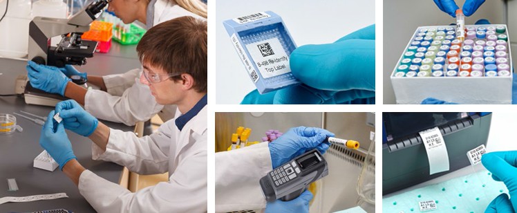 5 pasos para automatizar la identificación de muestras en su laboratorio